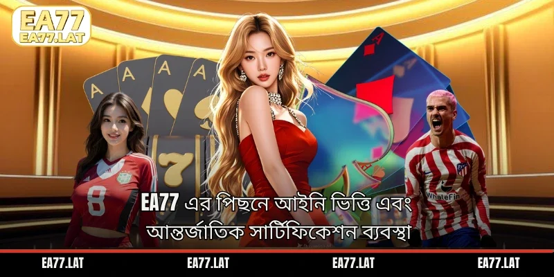 EA77 এর পিছনে আইনি ভিত্তি এবং আন্তর্জাতিক সার্টিফিকেশন ব্যবস্থা